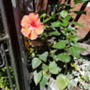 Meet your Posher, Sheri